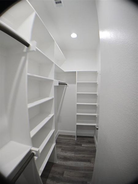 Spacious closet with dark hardwood / wood-style flooring