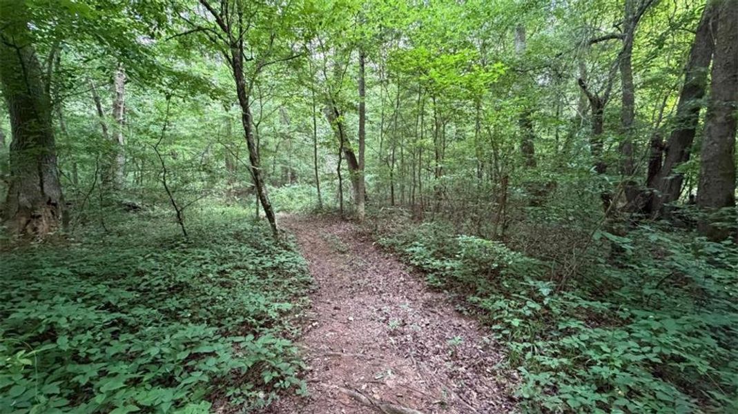 Natural landscape and outdoor views near  in Temple (Image 82).