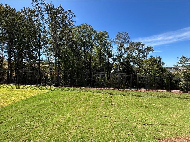 Natural landscape and outdoor views near Palisades Single Family in Cumming (Image 34).