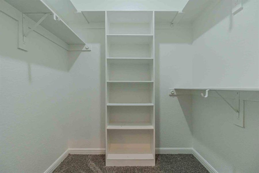 Walk in closet featuring carpet floors Walk in closet featuring carpet floors