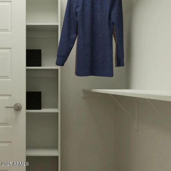 Owners Walk in Closet