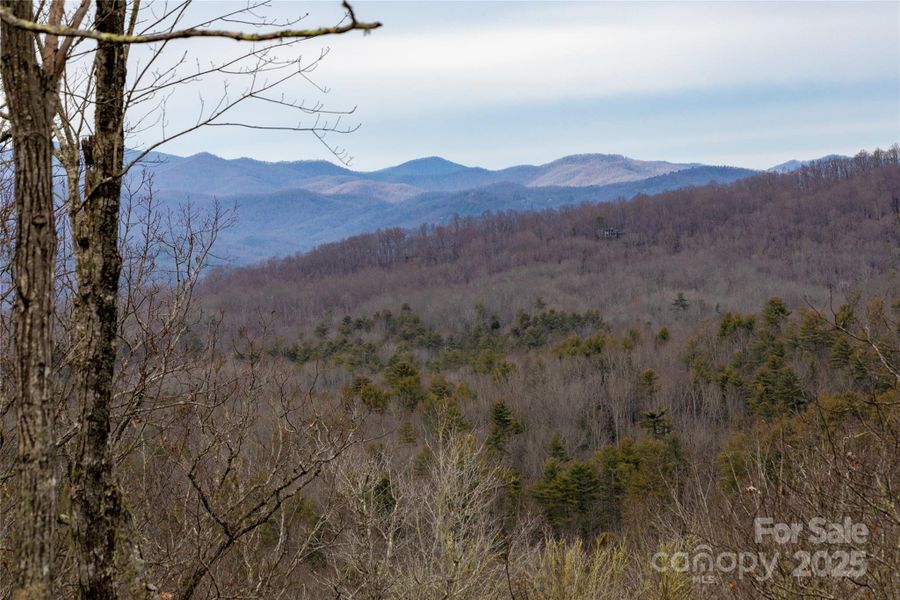 Natural landscape and outdoor views near  in Pisgah Forest (Image 41).