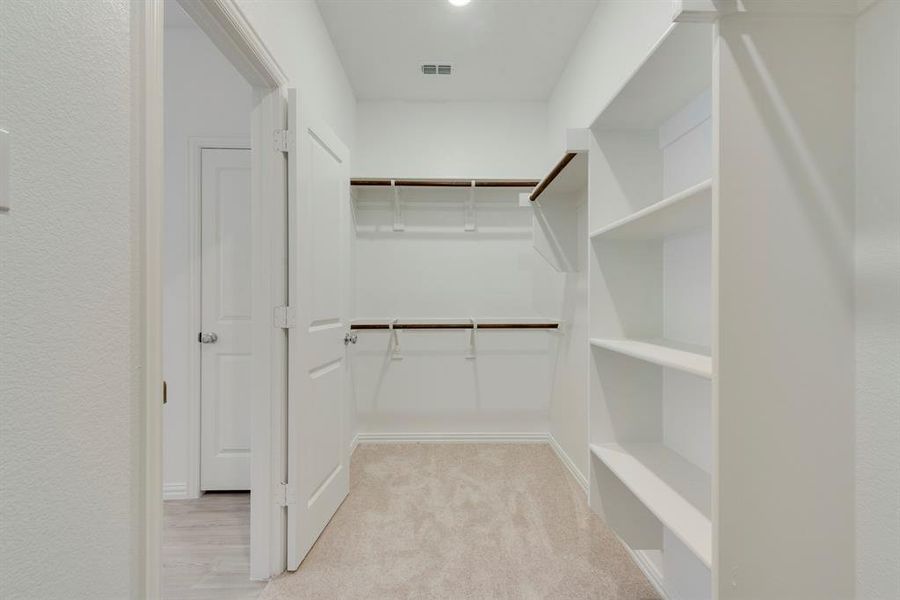 Walk in closet featuring light carpet