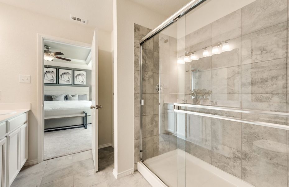 Shower in owner's bath