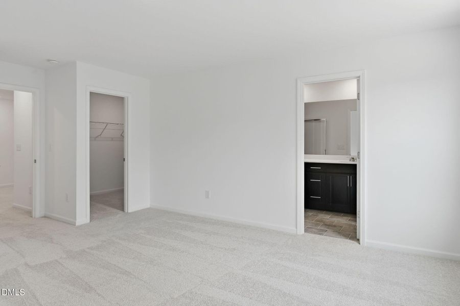 SUN_Marelli_Pic_Sutton-19