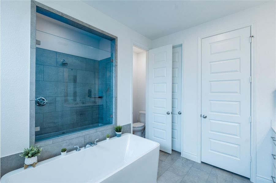 Full bath featuring a shower stall, a freestanding tub, and vanity