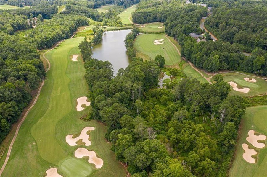 Natural landscape and outdoor views near  in Alpharetta (Image 55).