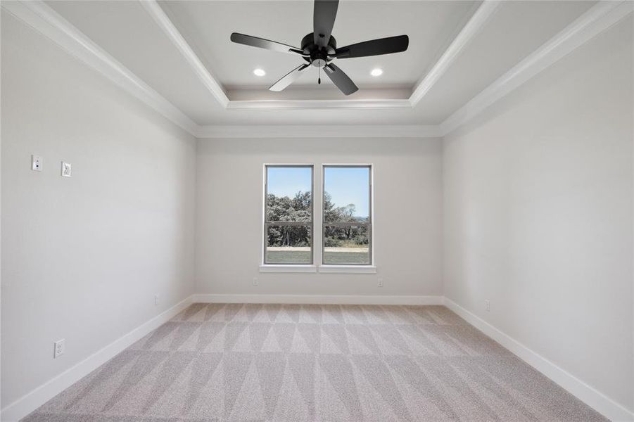 Carpeted spare room with ceiling fan and a tray ceiling