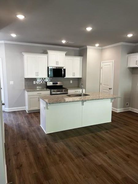 Furnished interior view inside a new home in Riversong, Duluth (Image 7).