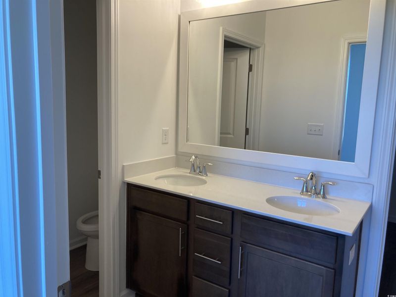 Full bath featuring double vanity and dark wood-type flooring