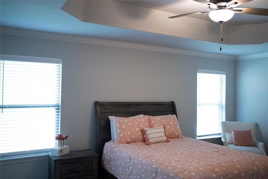 Bedroom featuring a raised ceiling, crown molding, ceiling fan, and multiple windows