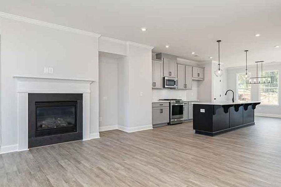 Family Room and Kitchen