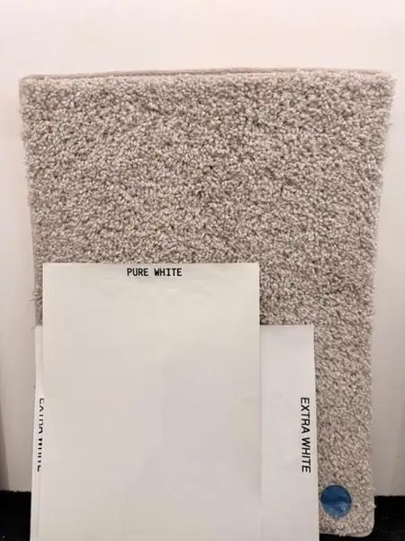 Carpet & Paint