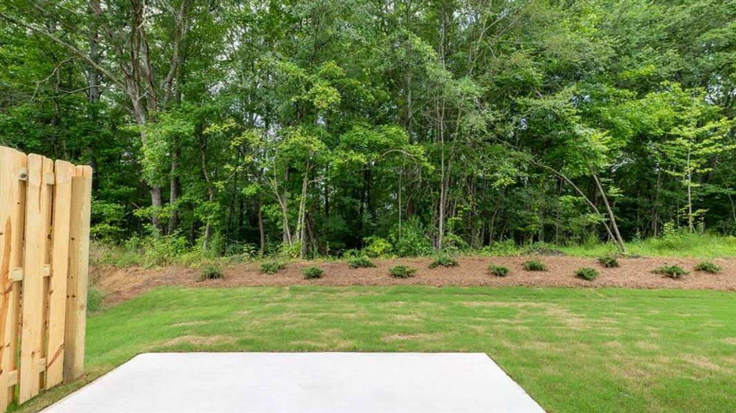 Natural landscape and outdoor views near Barrett Cove in Marietta (Image 32). Natural landscape and outdoor views near Barrett Cove in Marietta (Image 32).