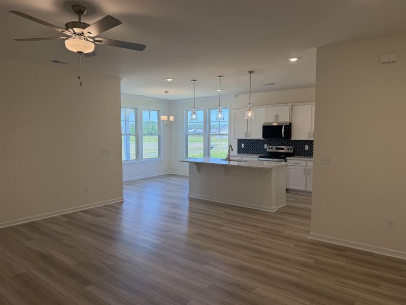 Spacious, unfurnished interior of a new home in King Farm Estates, Aynor (Image 9).