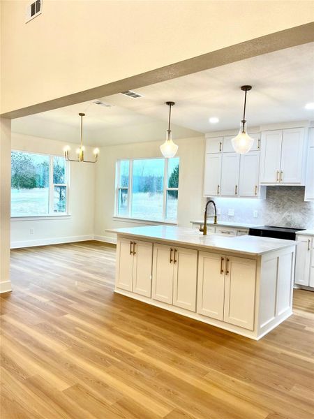 Furnished interior view inside a new home in , Pottsboro (Image 14).