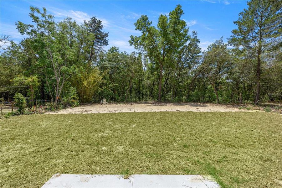 Natural landscape and outdoor views near  in Dunnellon (Image 23).