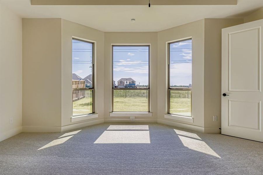 View of carpeted spare room