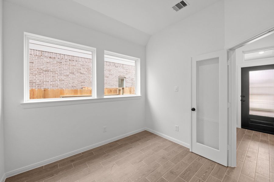 The Arlene - Study The Arlene - Study