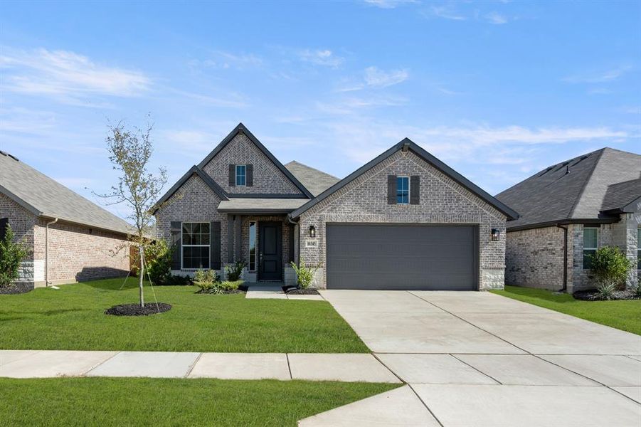 10345 Tapioca- front-1