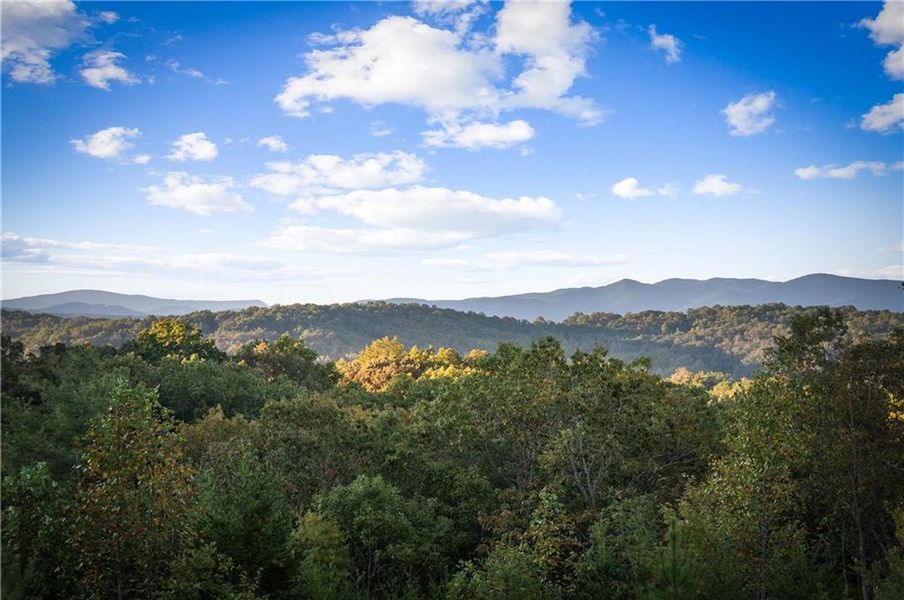 Natural landscape and outdoor views near  in Blue Ridge (Image 25).
