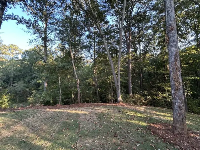 Natural landscape and outdoor views near  in Cartersville (Image 29).