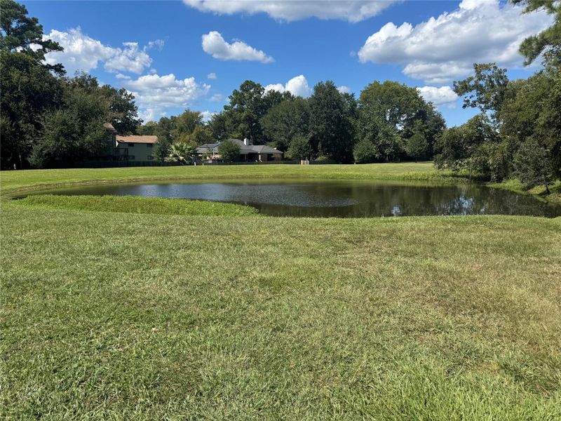 Pond and greenbelt space across the road