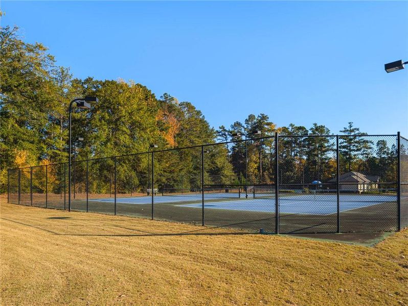 Community amenities in , Stonecrest (Image 48).