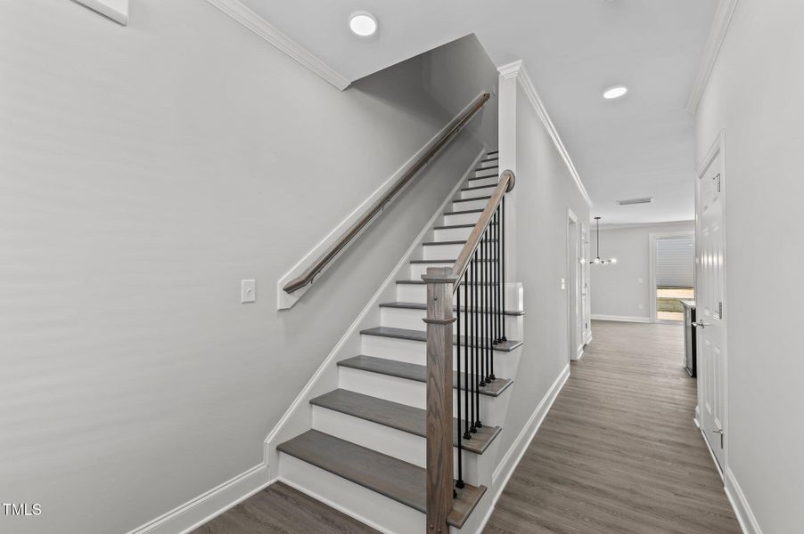 10-web-or-mls-DSC_6384