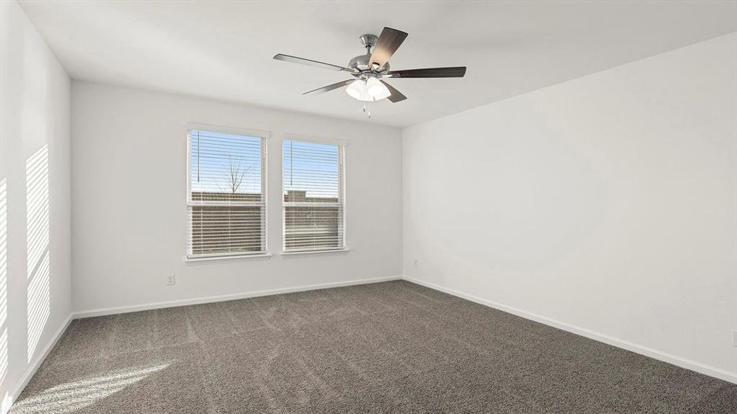 12. 778 Hidden Feather - Primary