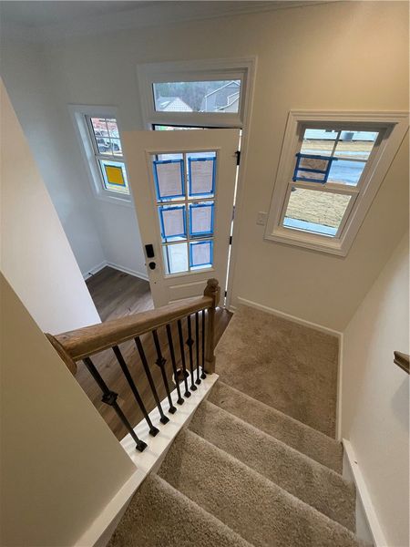 Spacious, unfurnished interior of a new home in Springwood Grove, Central (Image 13).