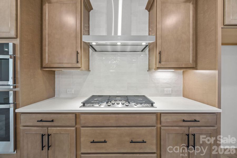 Close-up of interior finishes inside a home in Farms at Bellingham, Mooresville (Image 9).