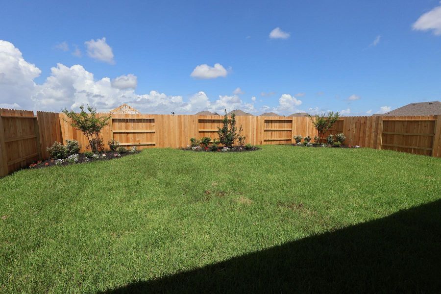 Amazing backyard with lush landscaping Amazing backyard with lush landscaping