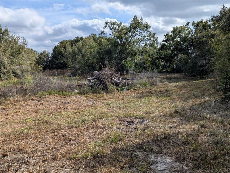 Natural landscape and outdoor views near  in Arcadia (Image 32).