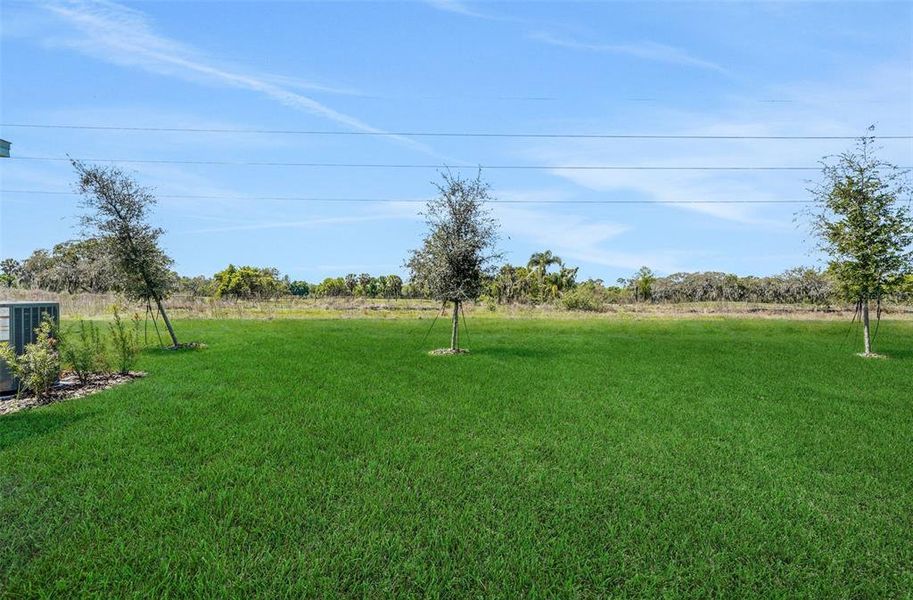 Natural landscape and outdoor views near Willowbrook North in Winter Haven (Image 27). Natural landscape and outdoor views near Willowbrook North in Winter Haven (Image 27).