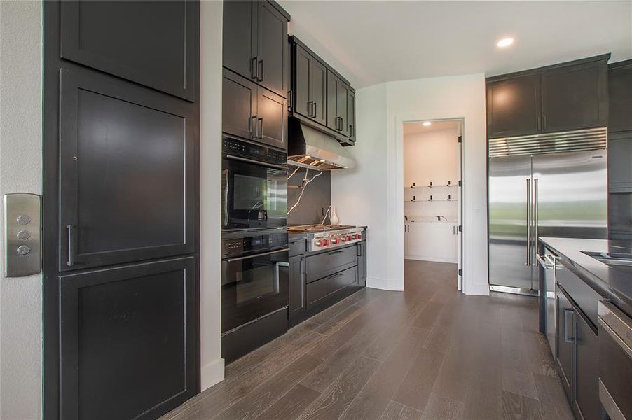 Kitchen with stainless steel appliances and dark hardwood / wood-style flooring