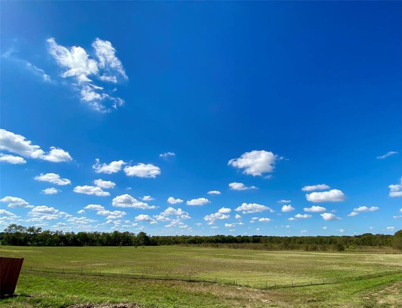 Great view of the Nature Area immediately behing the back yard