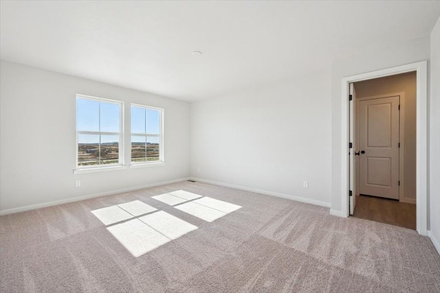 A room with a carpet and windows.