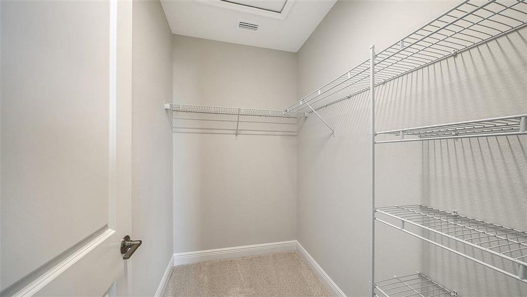 Spacious, unfurnished interior of a new home in Canoe Creek, Parrish (Image 32).