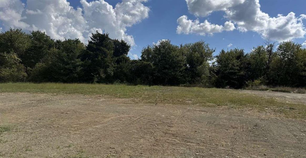 View of undeveloped land View of undeveloped land