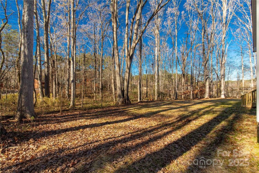 Natural landscape and outdoor views near  in York (Image 35).
