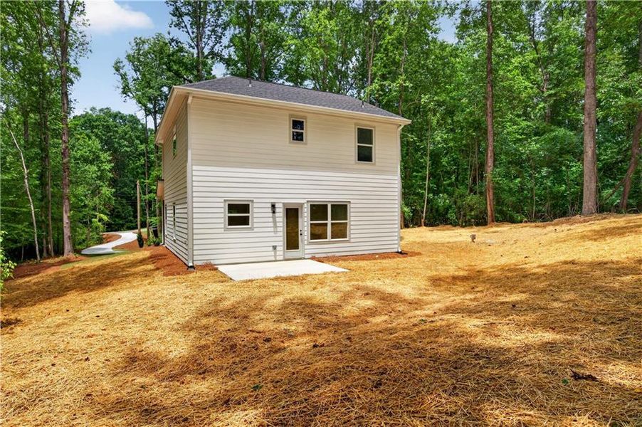 Exterior details and patio area of a home in , Dawsonville (Image 3).