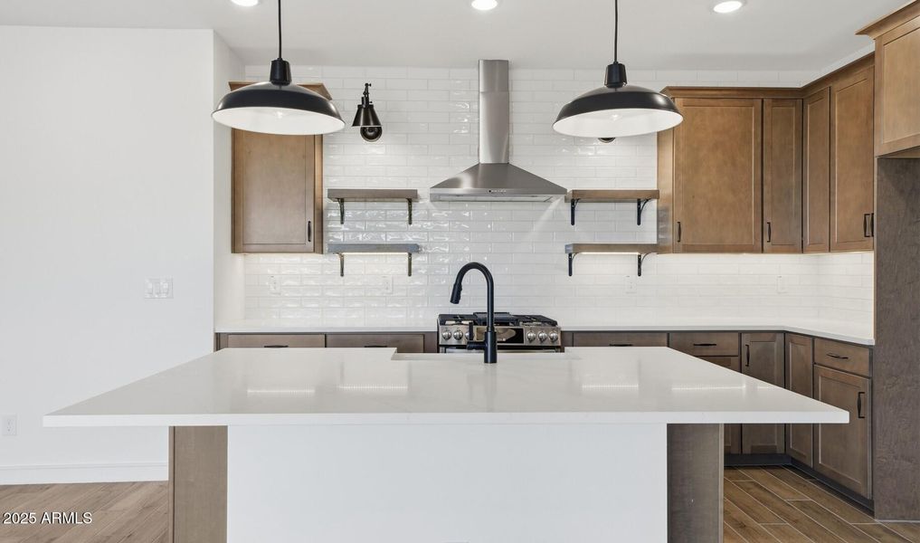 Manor Lot #60 Kitchen (3) (Large)