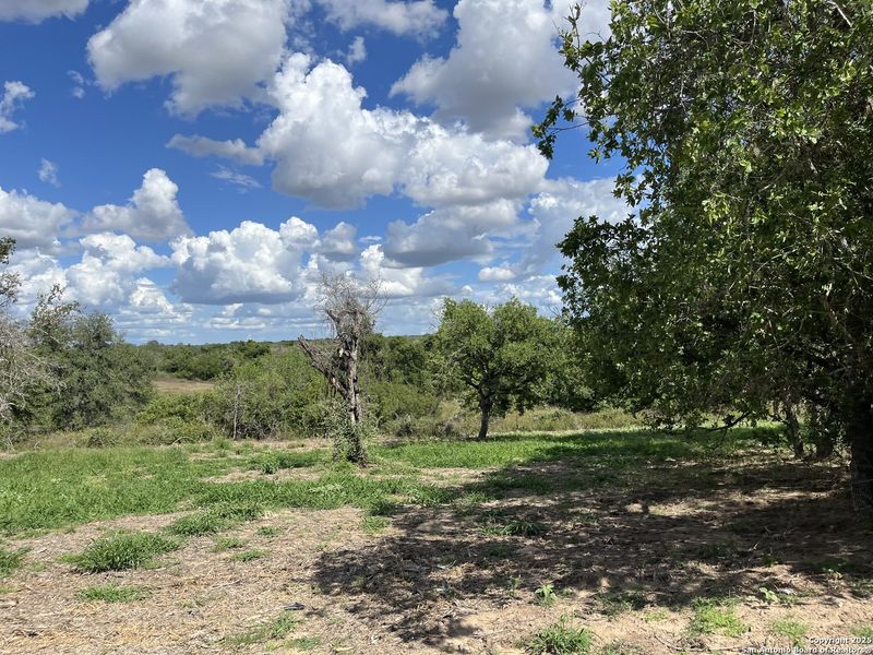Natural landscape and outdoor views near in Floresville (Image 7). Natural landscape and outdoor views near in Floresville (Image 7).