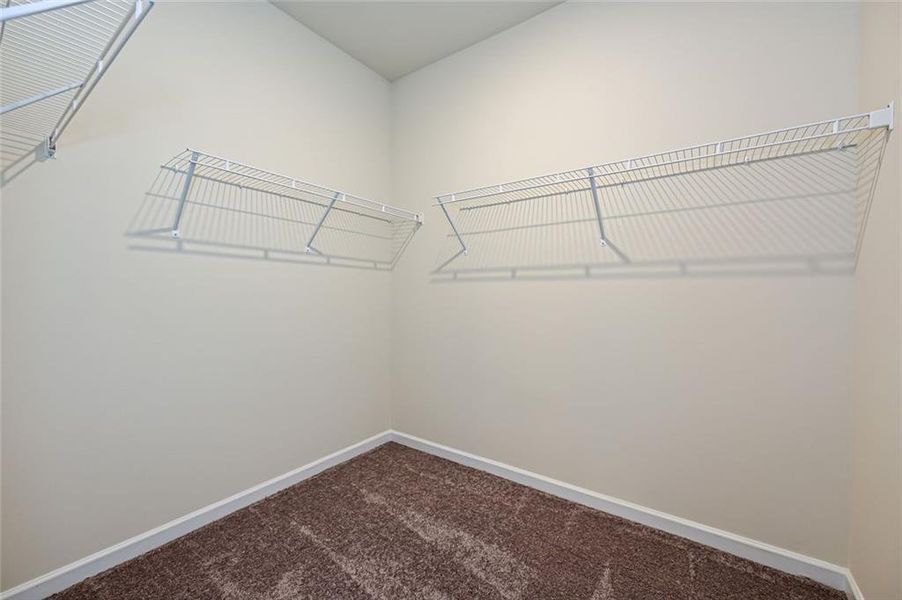 Spacious, unfurnished interior of a new home in Kingston Park, Kingston (Image 23). Spacious, unfurnished interior of a new home in Kingston Park, Kingston (Image 23).