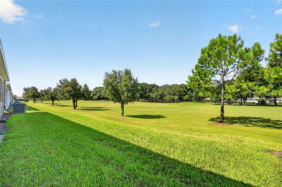 Natural landscape and outdoor views near in Ocala (Image 84). Natural landscape and outdoor views near in Ocala (Image 84).