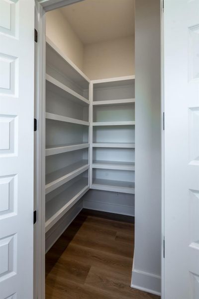Walk-in pantry with plenty of shelving Walk-in pantry with plenty of shelving