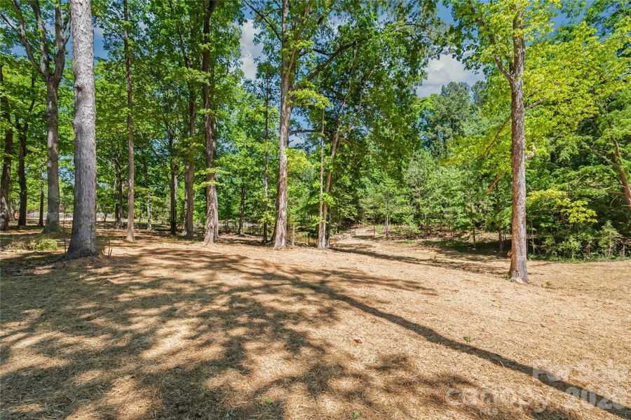 Natural landscape and outdoor views near  in Waxhaw (Image 38).