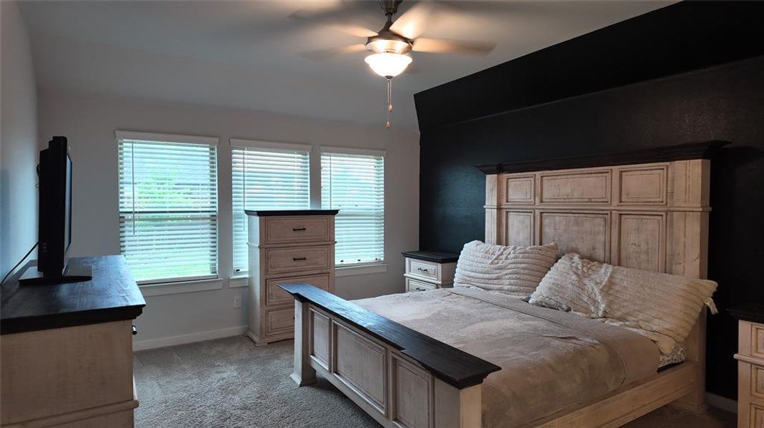 This bedroom features light gray carpet, multiple windows with blinds, and a ceiling fan with integrated lighting