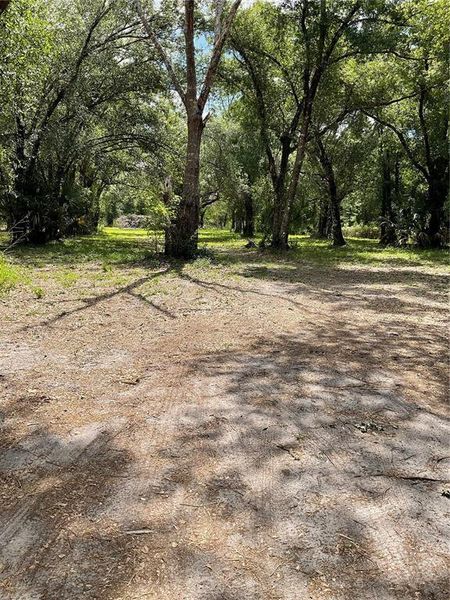 Natural landscape and outdoor views near  in Arcadia (Image 15).
